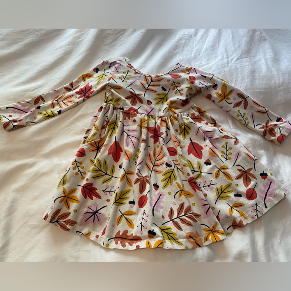 Hanna Andersson fall themed dress with pockets 3T